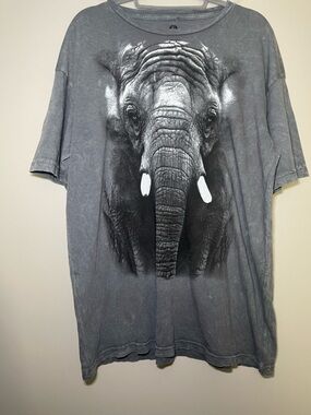 Goodie Two Sleeve X Disney Graphic Elephant Tee in Washed Gray